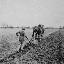 220px-Barnardo_boy_ploughing_C_1900